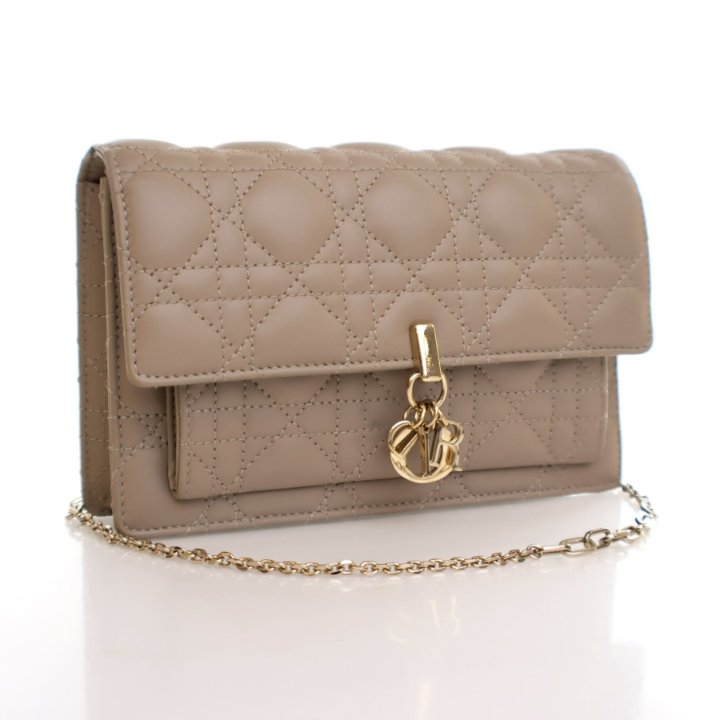 Dior Lambskin Daily Pouch With Chain