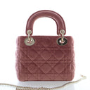 Christian Dior Mini Velvet ...