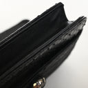 Chanel Python Mesh Clutch
