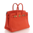 Hermes Feu Togo Birkin 25