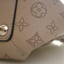Louis Vuitton Monogram Mahi...