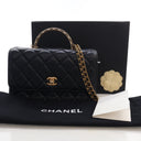 Chanel Small Lambskin Top H...