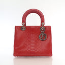 Dior Medium Python Lady Dior