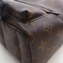 Louis Vuitton Monogram Palm...