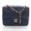 Product - Chanel Mini Lambs...