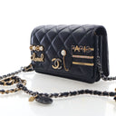 Chanel Lambskin Coco Clips ...