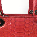 Dior Medium Python Lady Dior