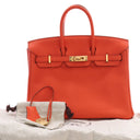 Hermes Feu Togo Birkin 25