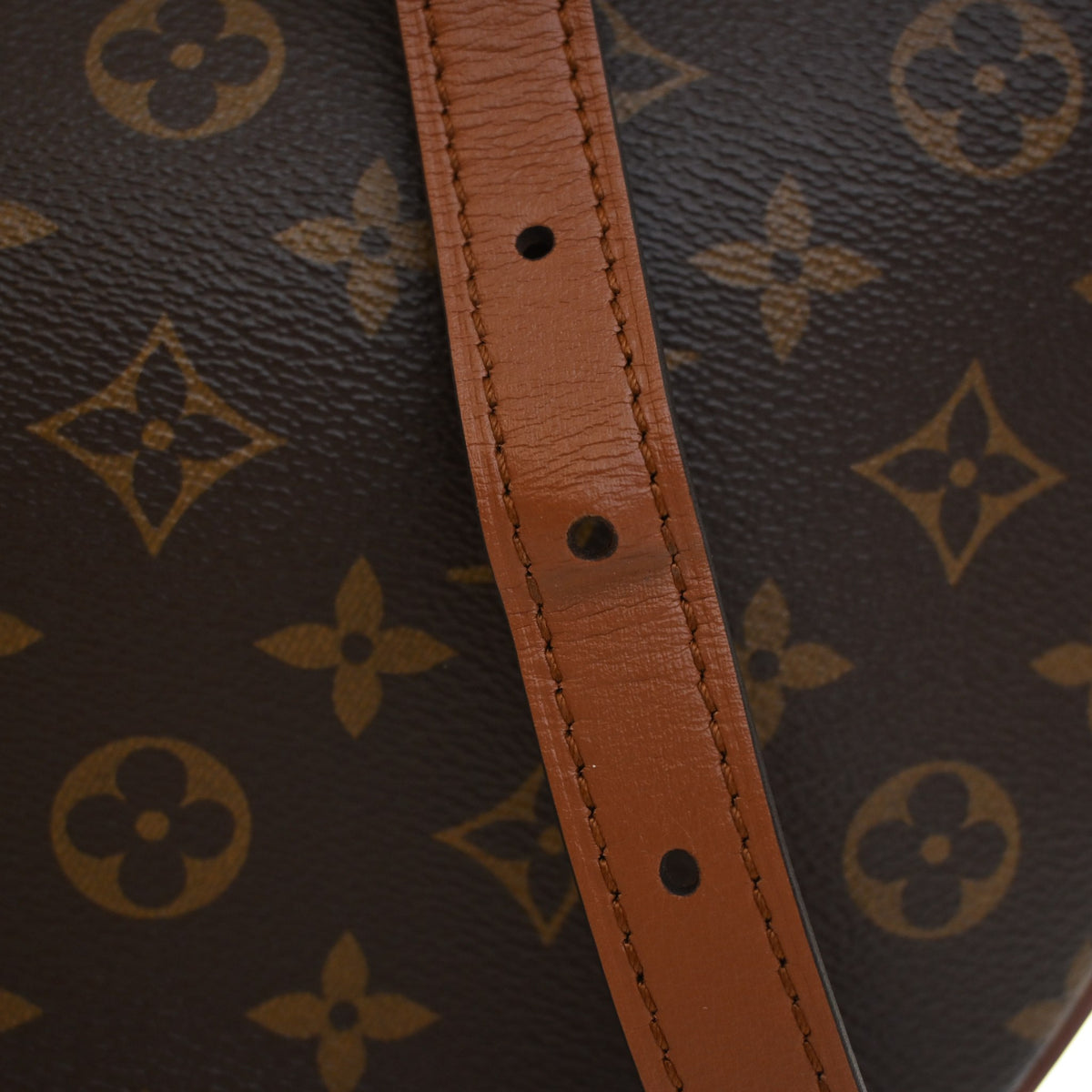 Pre-Owned Louis Vuitton Hobo Monogram Loop Bag, detail view