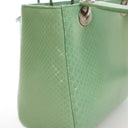 Dior Medium Python Lady Dior