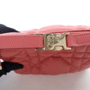 Dior Small Calfskin Nomad P...