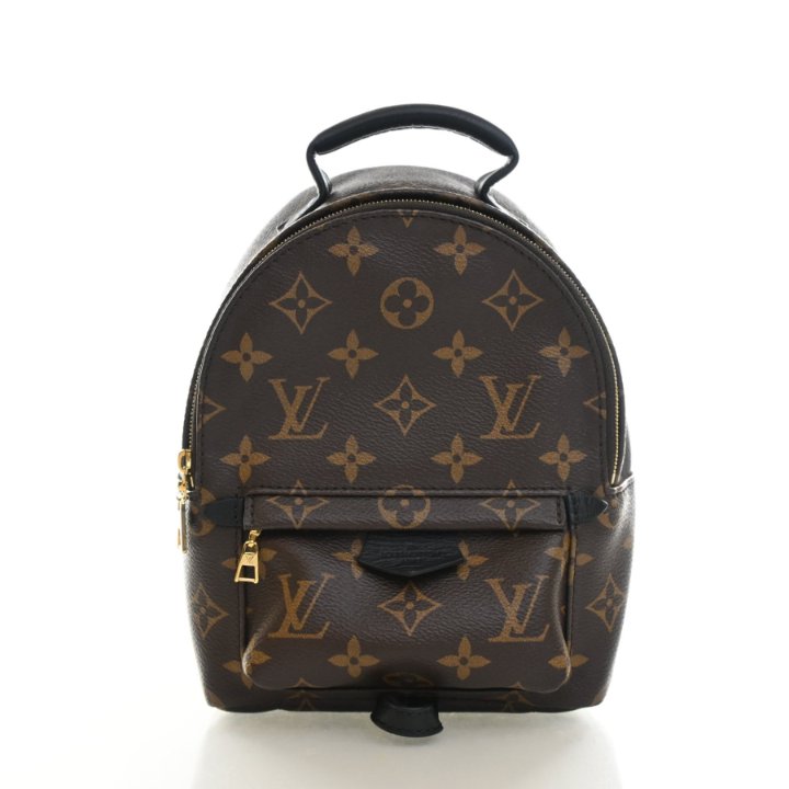 Louis Vuitton Monogram Palm Springs Mini