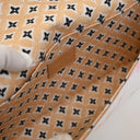 Louis Vuitton Monogram Gian...