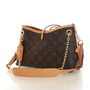 Louis Vuitton Monogram Carr...