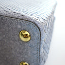Louis Vuitton Python Capuci...