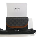 Celine Triomphe Canvas Wall...
