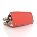 Dior Small Calfskin and Pyt...