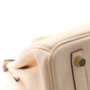 Hermes Nata Clemence Birkin 30