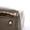 Dior Medium Python Lady Dior