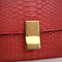 Celine Medium Python Box Bag