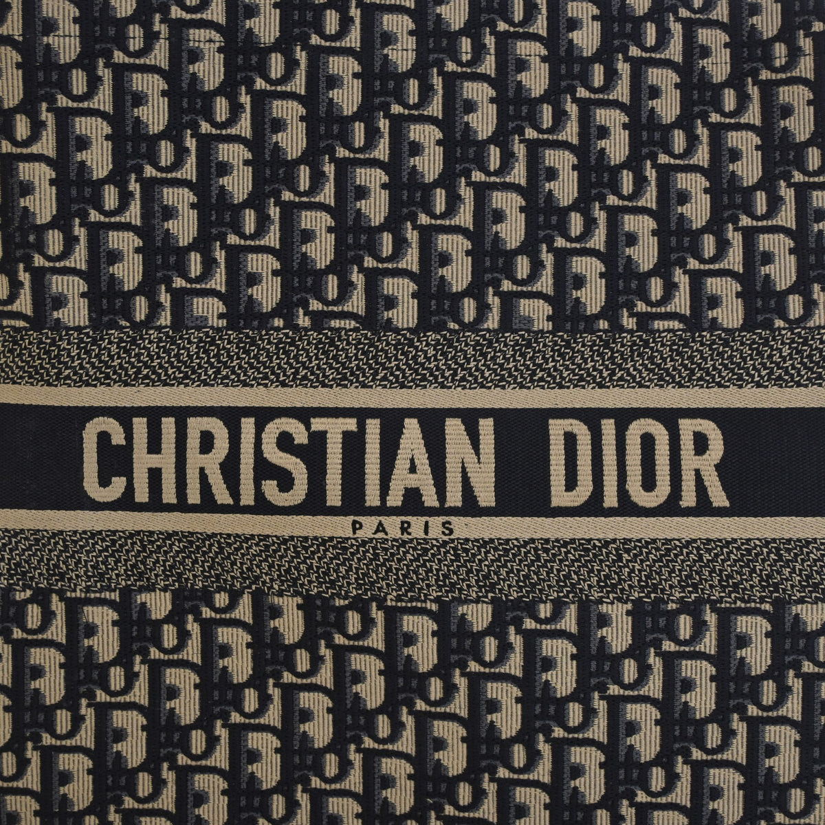 Pre-Owned Christian Dior Book Tote Large Oblique, logo detail