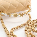 Chanel Lambskin Flap Bag Pe...