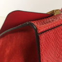 Celine Medium Python Trapeze