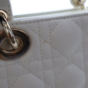 Christian Dior Medium Lambs...