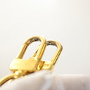 Louis Vuitton Monogram Loop...