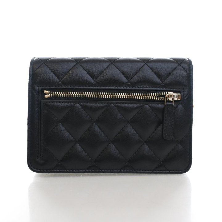 Chanel Mini Lambskin Wallet On Chain (WOC), photo 11 of 20