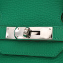 Hermes Menthe Togo Birkin 35 