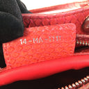 Dior Medium Python Lady Dior