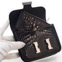 Hermes Niloticus Crocodile ...