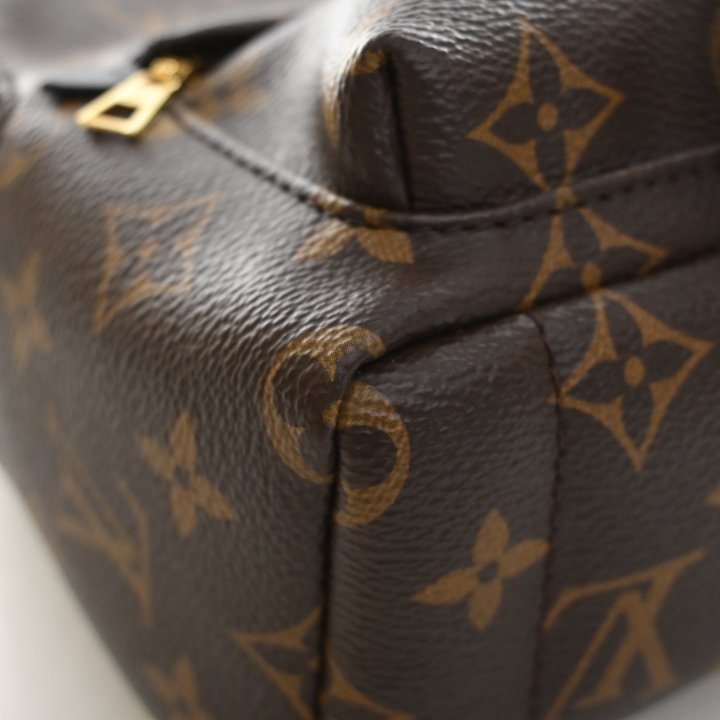 Louis Vuitton Monogram Palm Springs Mini, photo 14 of 16