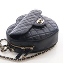 Chanel Large Lambskin CC In...
