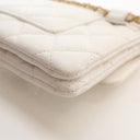 Chanel Caviar Pick Me Up Fl...