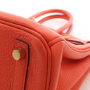 Hermes Feu Togo Birkin 25