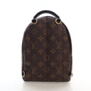 Louis Vuitton Monogram Palm...