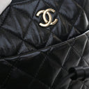Chanel Crumpled Calfskin My...