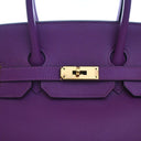 Hermes Anemone Epsom Birkin 35