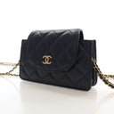 Chanel Small Lambskin Accor...