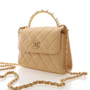Chanel Lambskin Flap Bag Pe...
