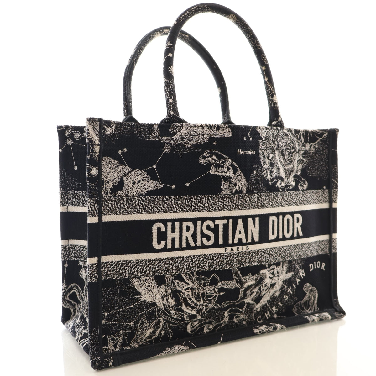 Christian Dior Medium Zodiac Toile De Jouy Book Tote, photo 2 of 17
