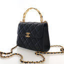 Chanel Mini Lambskin Coco E...