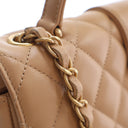 Chanel Calfskin Chevron In ...