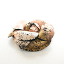Chanel Camellia Brooch