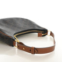 Celine Triomphe Canvas Ava Bag