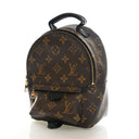 Louis Vuitton Monogram Palm...