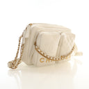 Chanel Small Calfskin Camer...