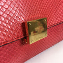 Celine Medium Python Trapeze